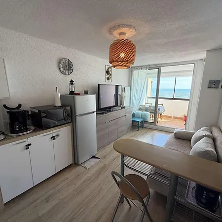 Renove Vue Mer, Animaux - 4 Pers. - Fr-1-81-775 Le Barcares