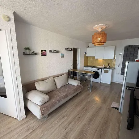 Renove Vue Mer, Animaux - 4 Pers. - Fr-1-81-775 Daire *